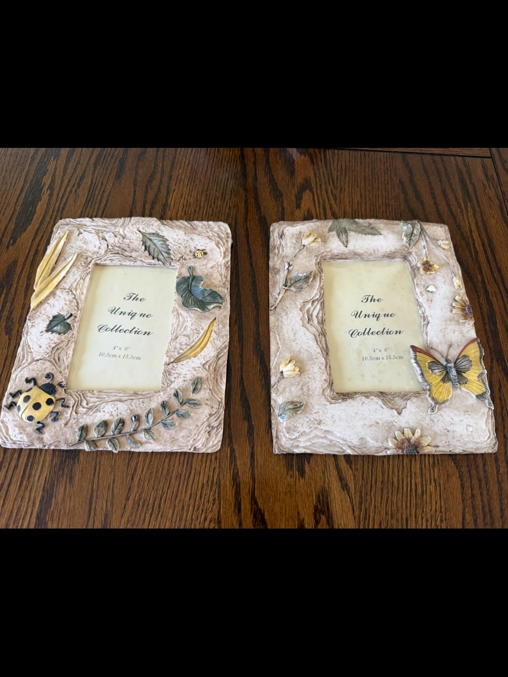 New Beige Decorative Butterfly & Ladybug Picture Frames - Set of 2 size 4X 6